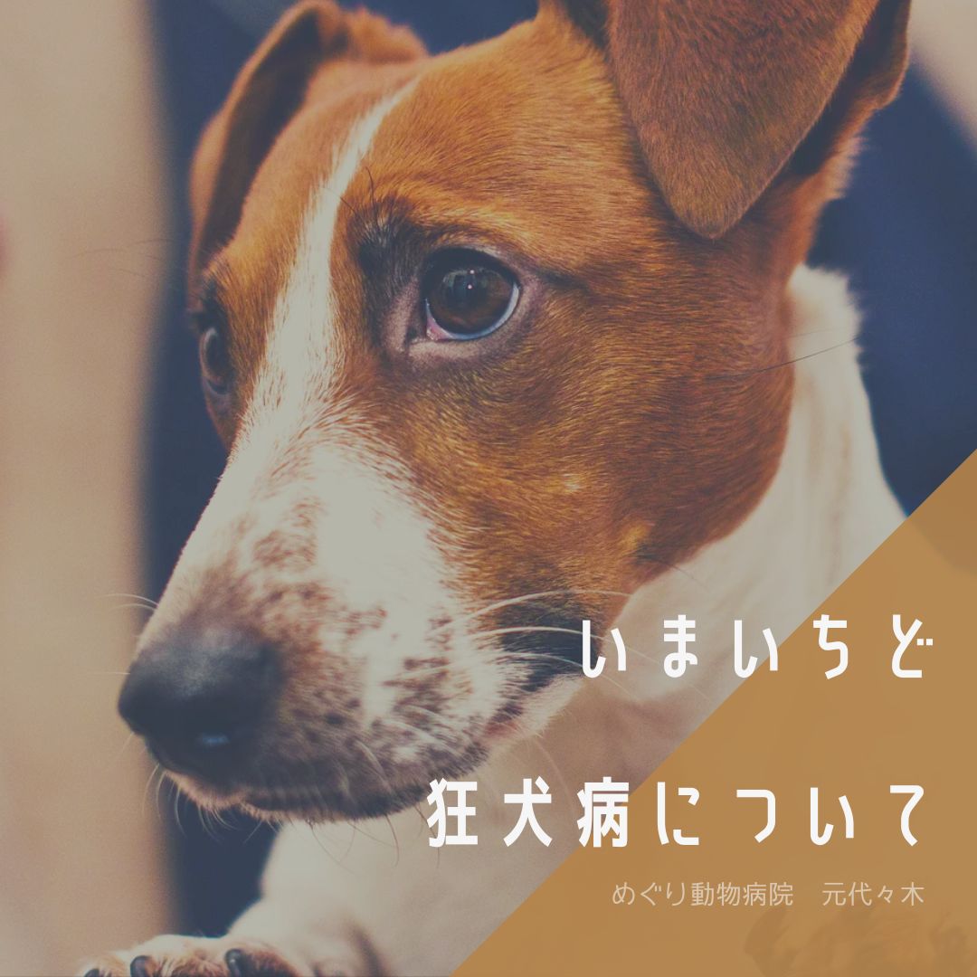 インスタグラムの新しいポストです。